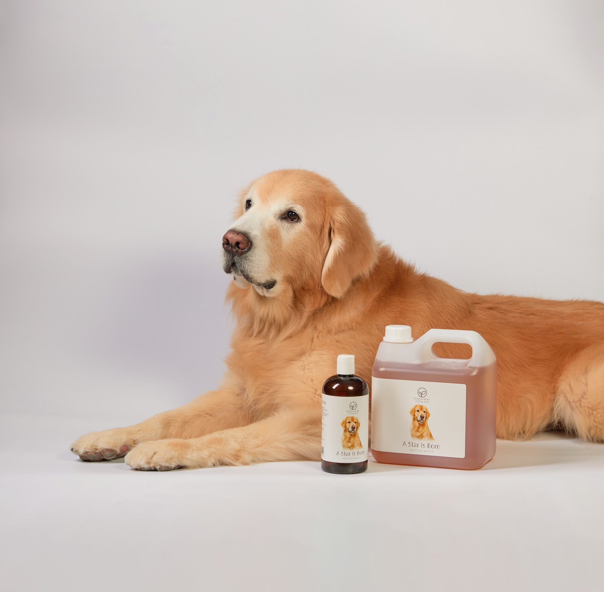 The Benefits of Organic Pet Products: A Healthier Choice for Your Furry Friends