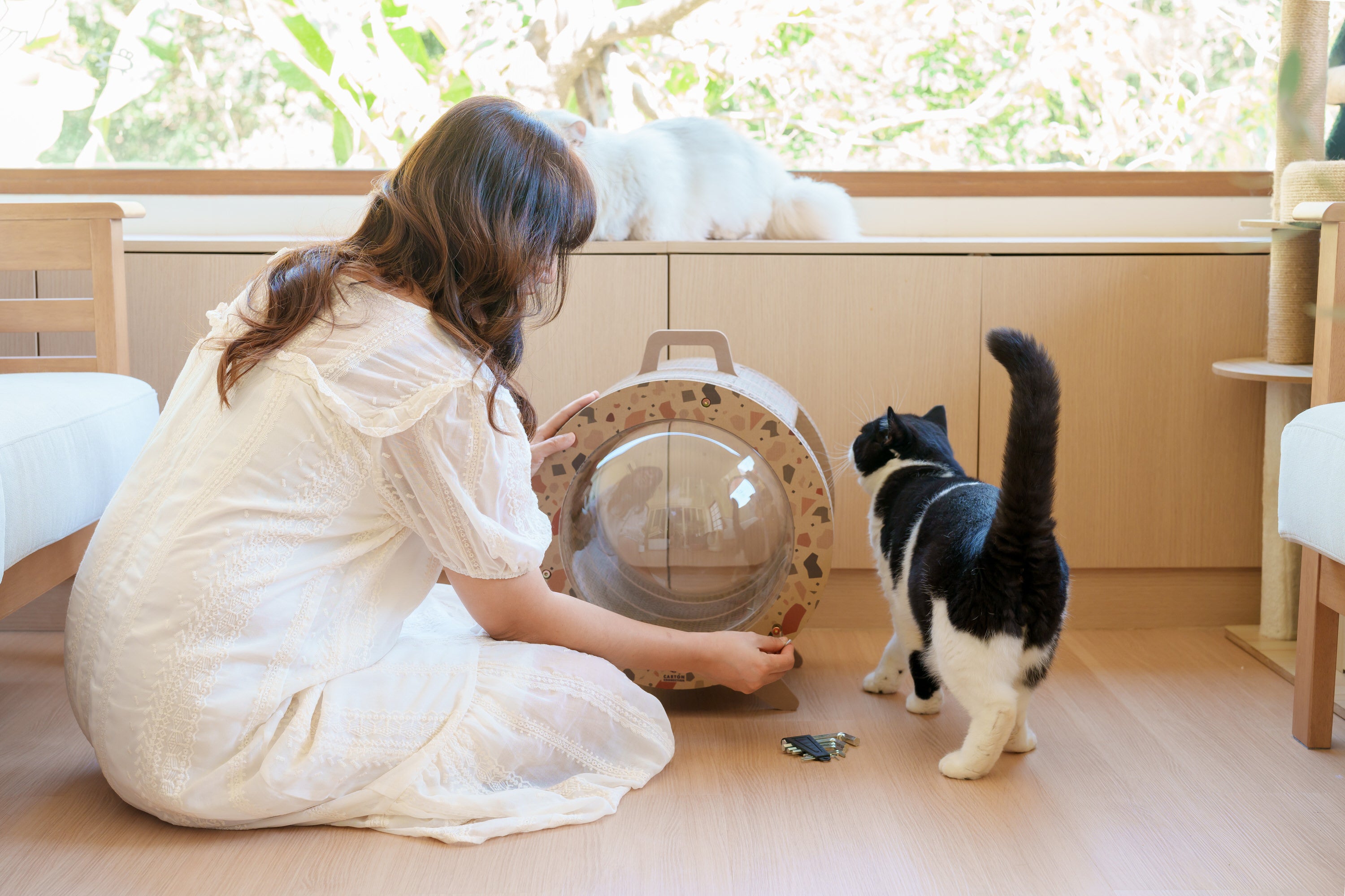 Kitty Space Capsule