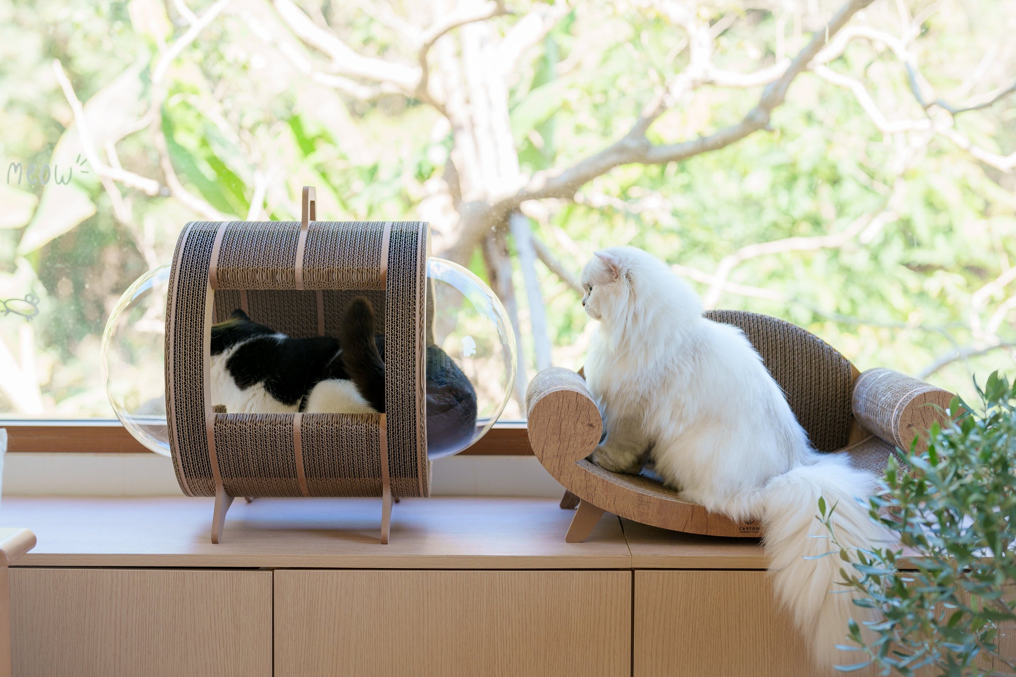 Kitty Space Capsule