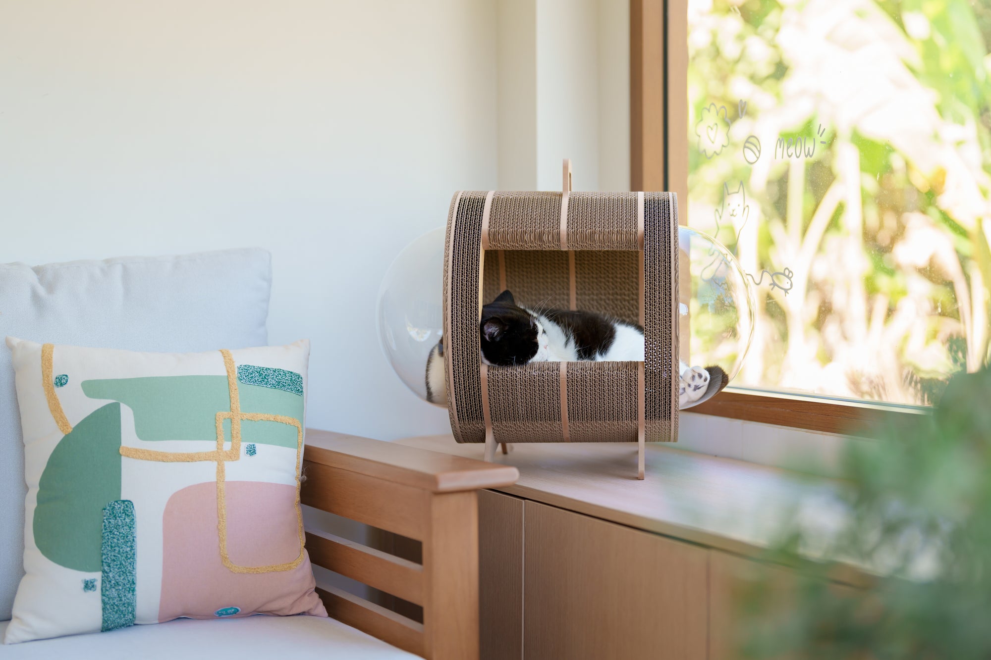 Kitty Space Capsule