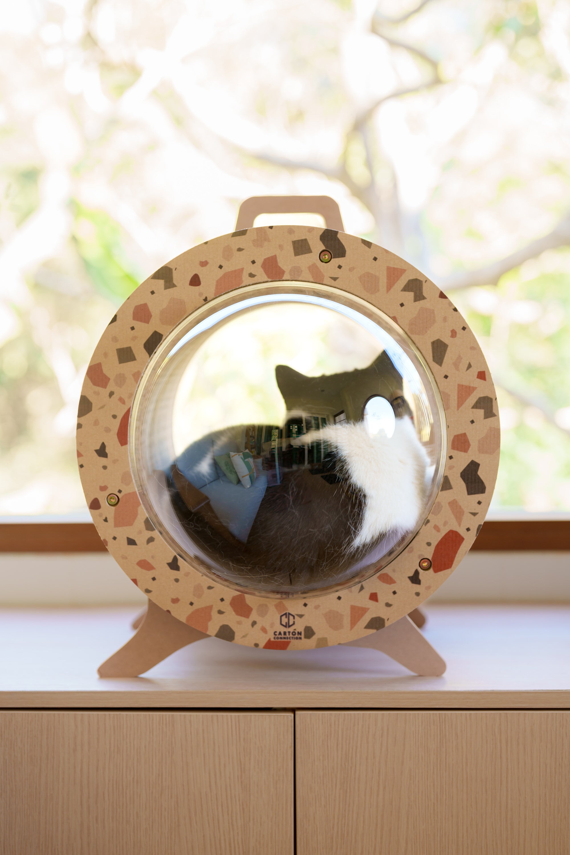 Kitty Space Capsule