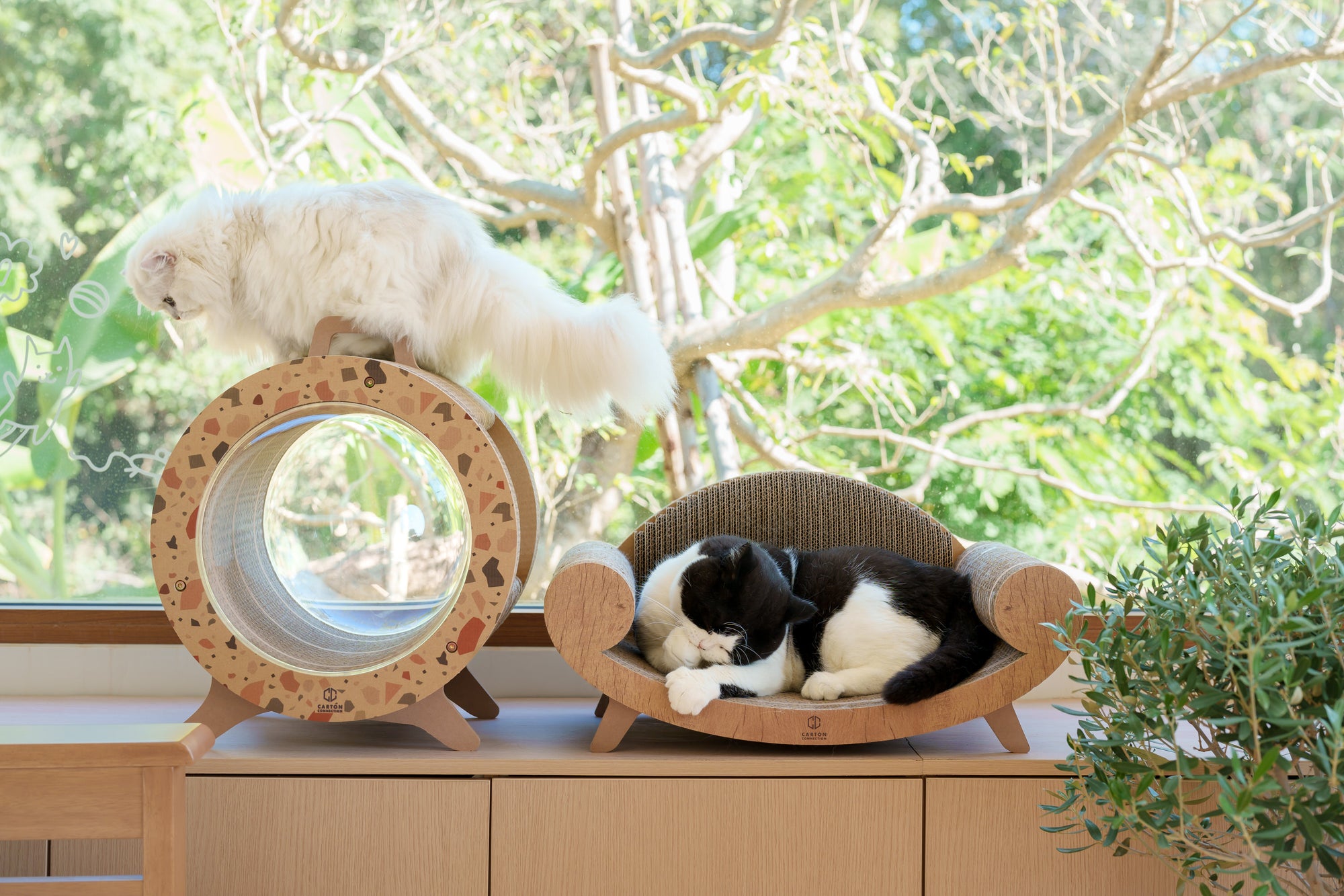 Kitty Space Capsule