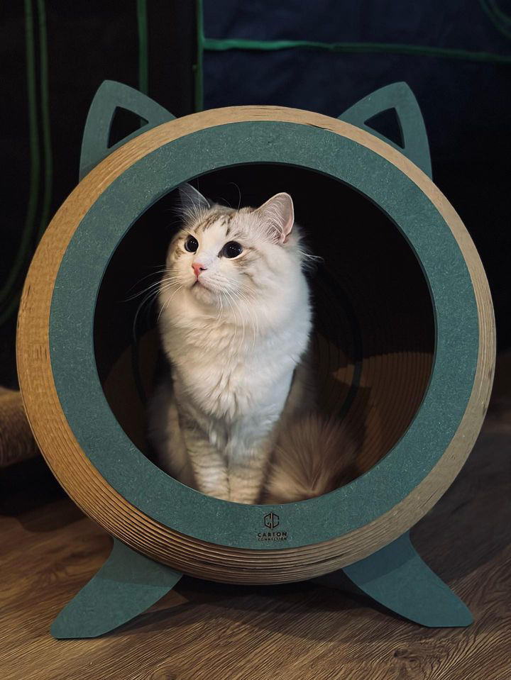 Catosphere Cat Scratcher (Green Dynasty)