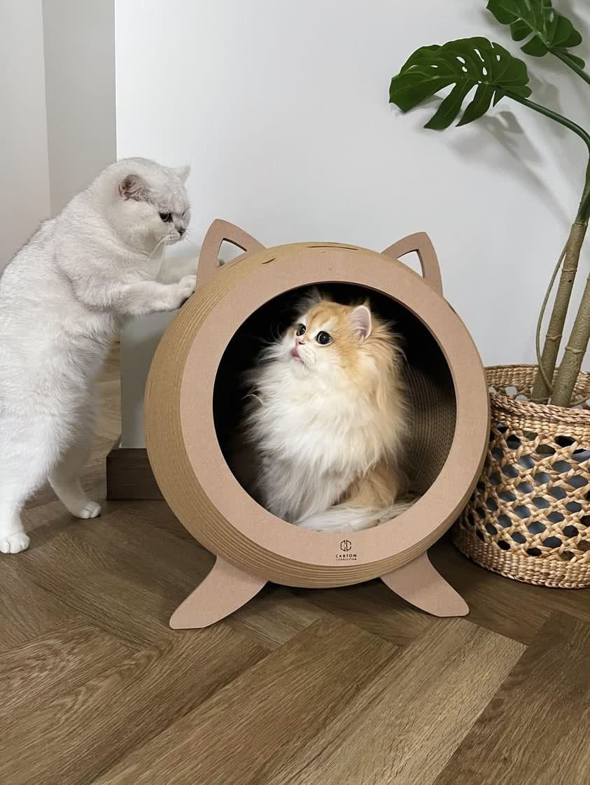 Catosphere (Wood)