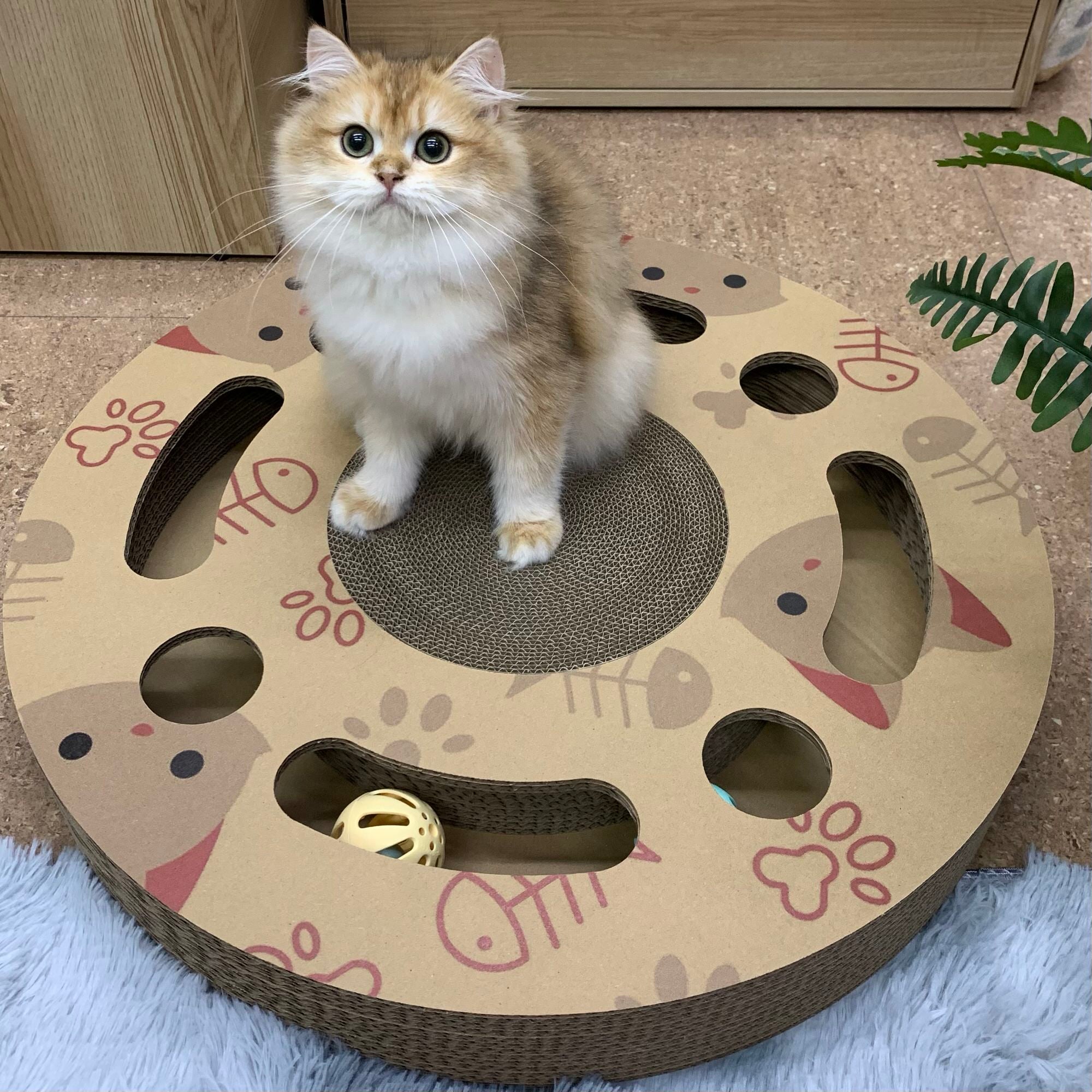 Interactive Scratch Wheel