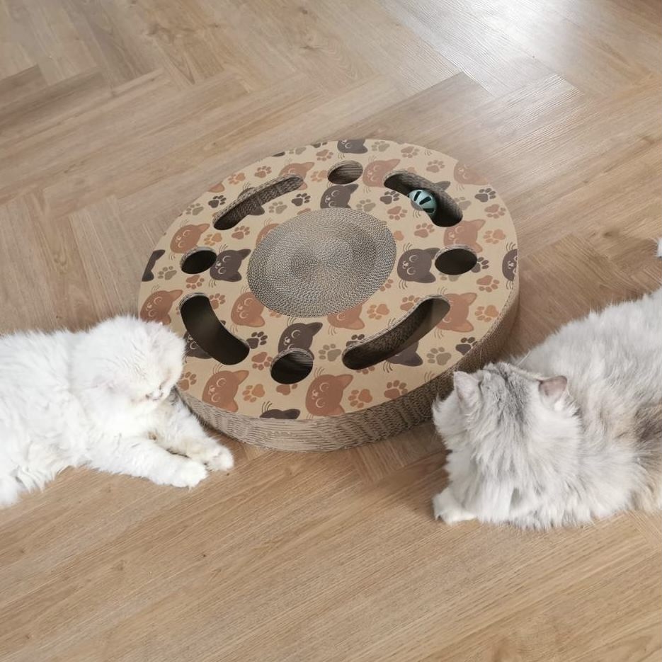 Interactive Scratch Wheel