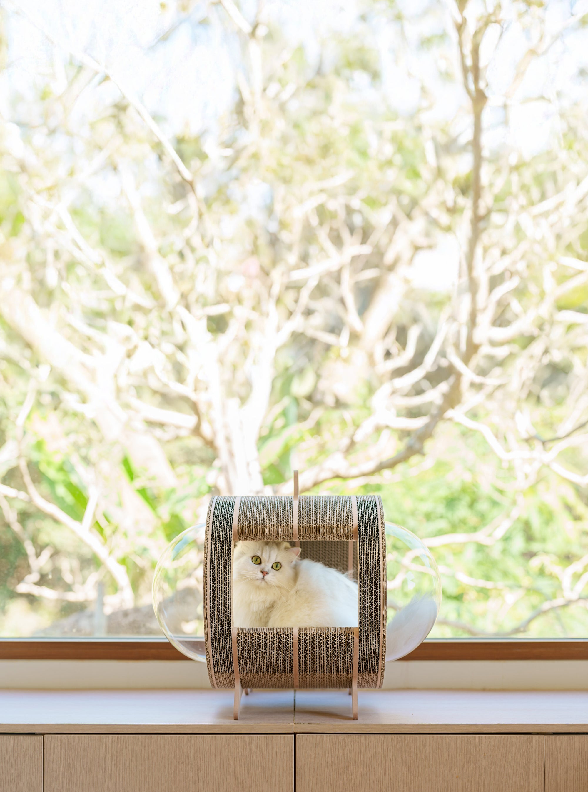 Kitty Space Capsule