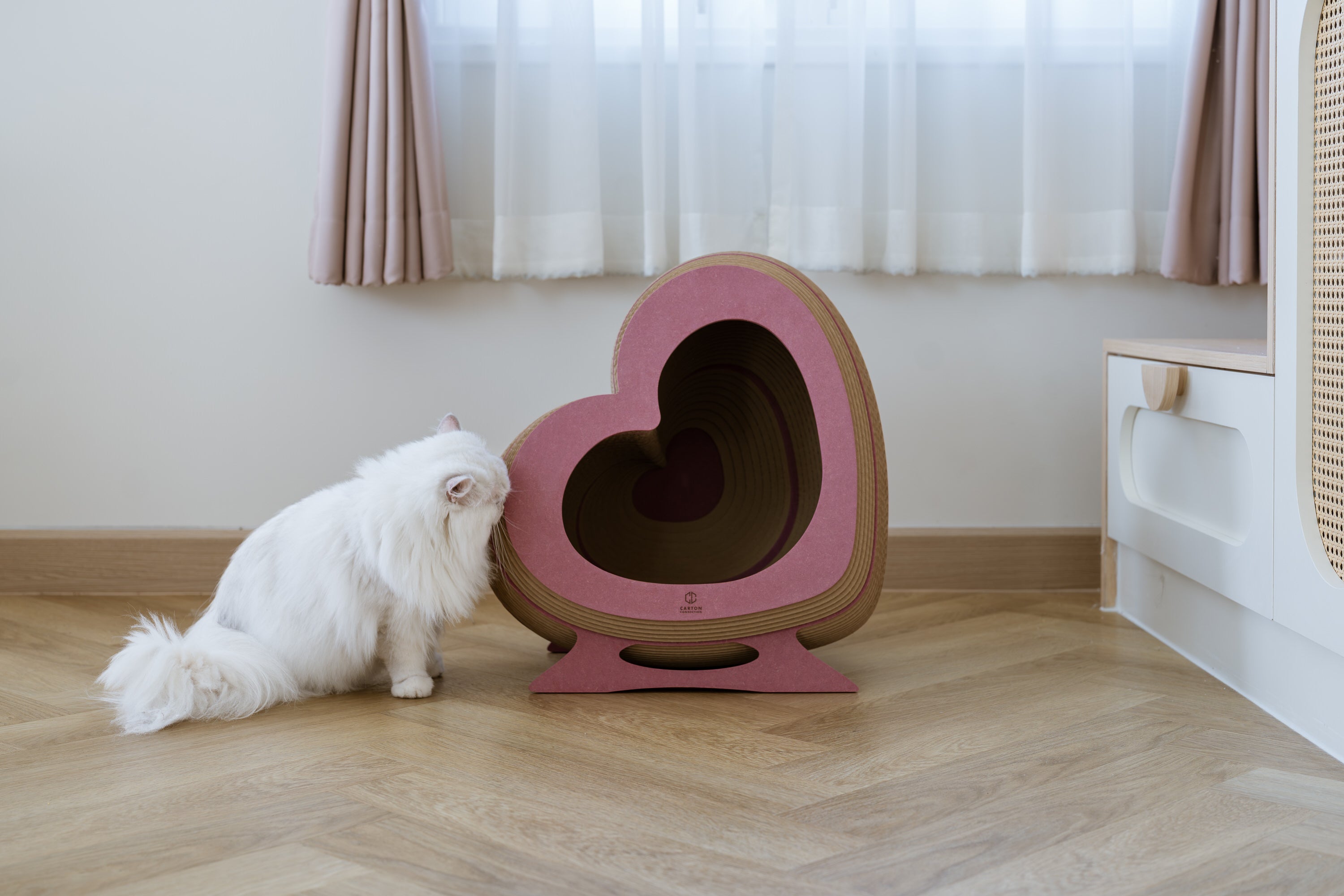 Kitty Heartbeat