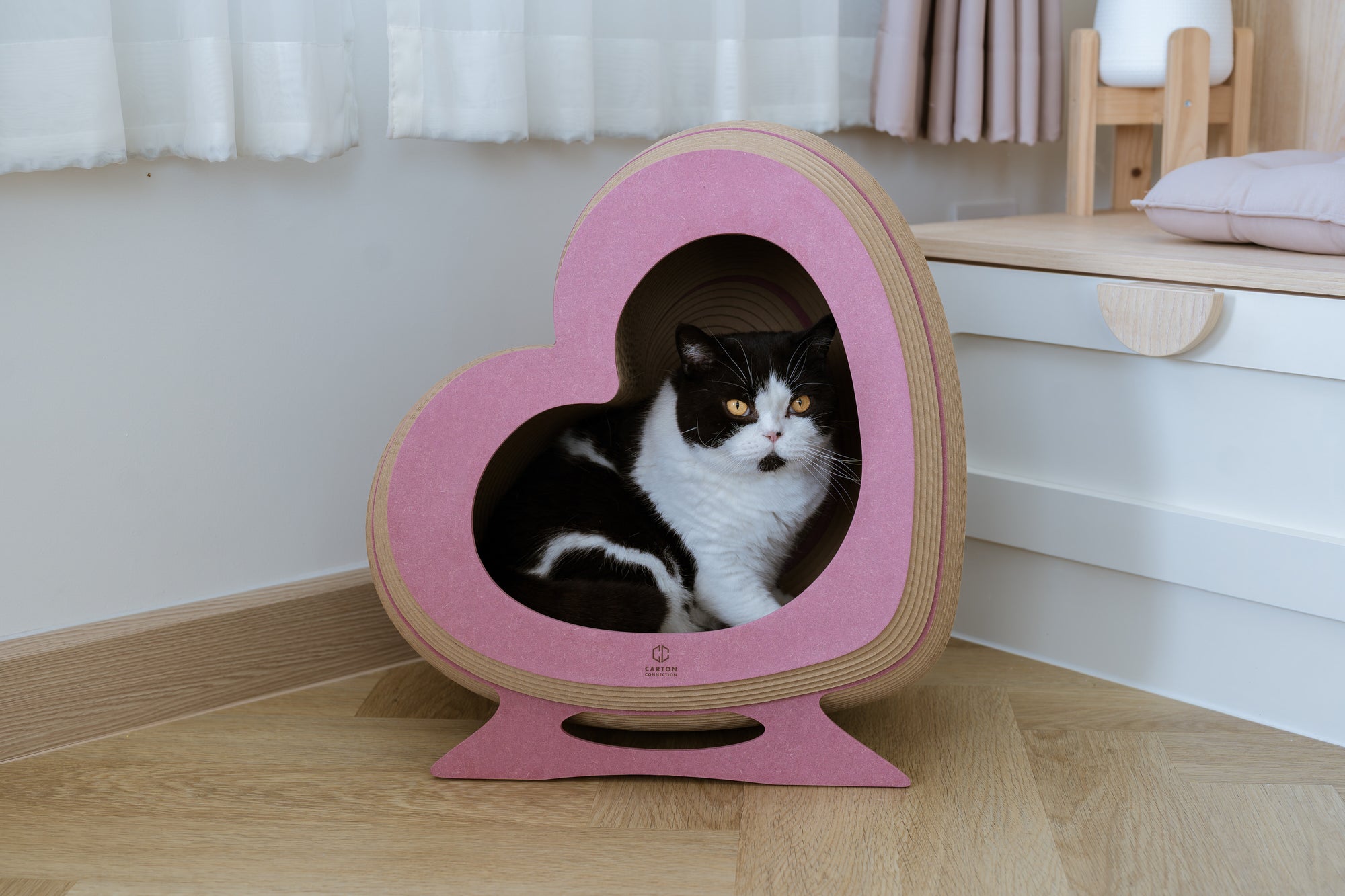 Kitty Heartbeat