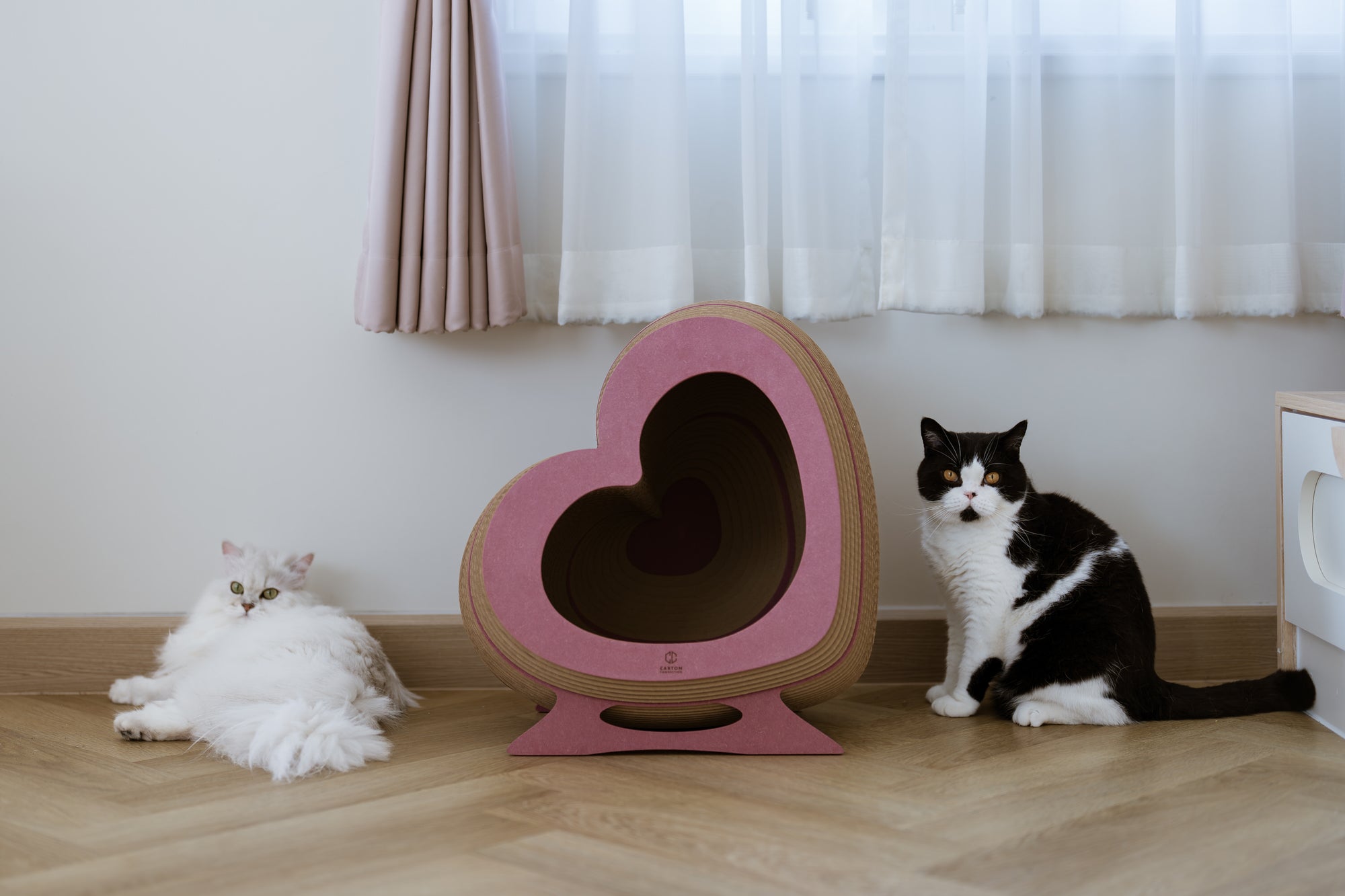 Kitty Heartbeat