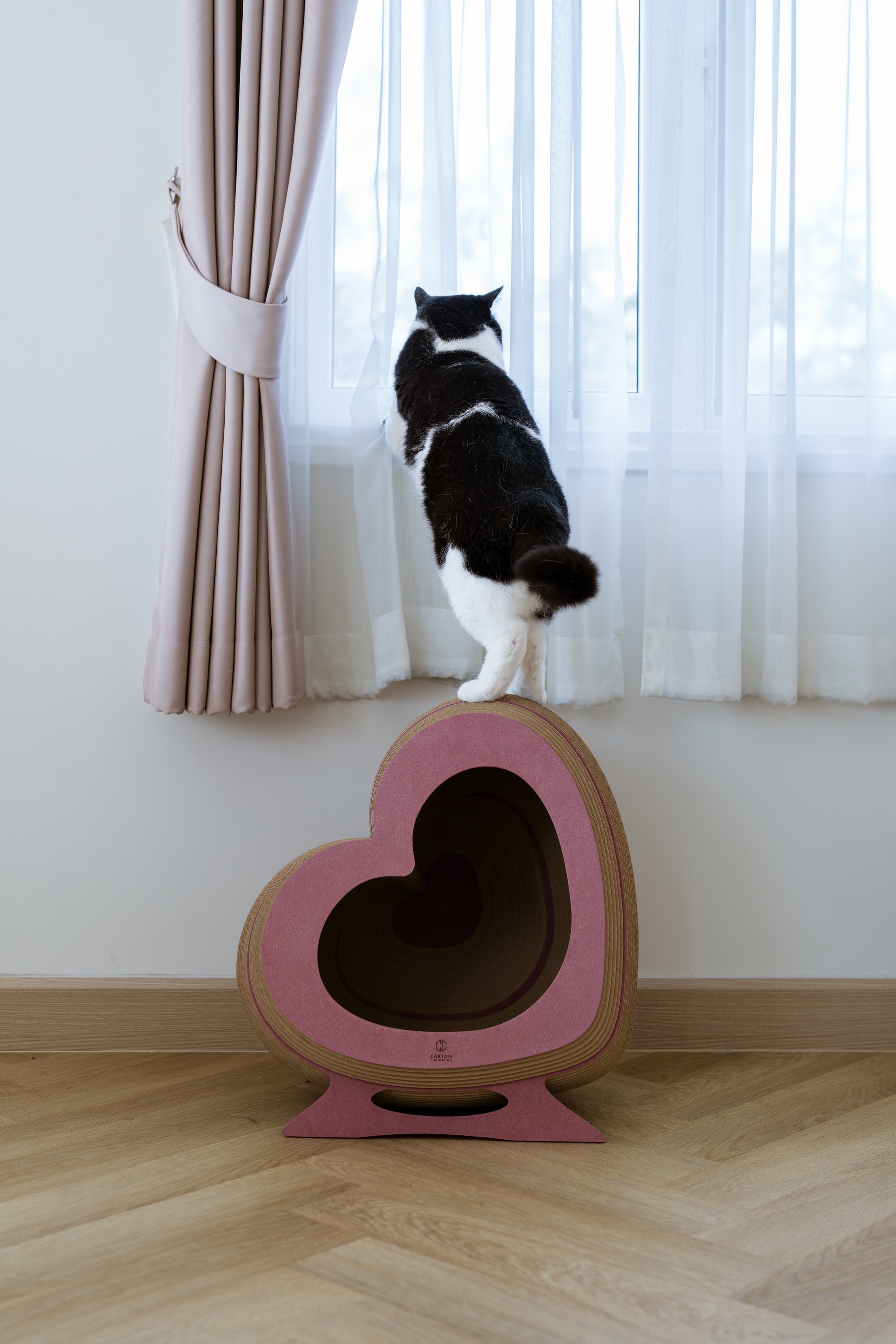 Kitty Heartbeat