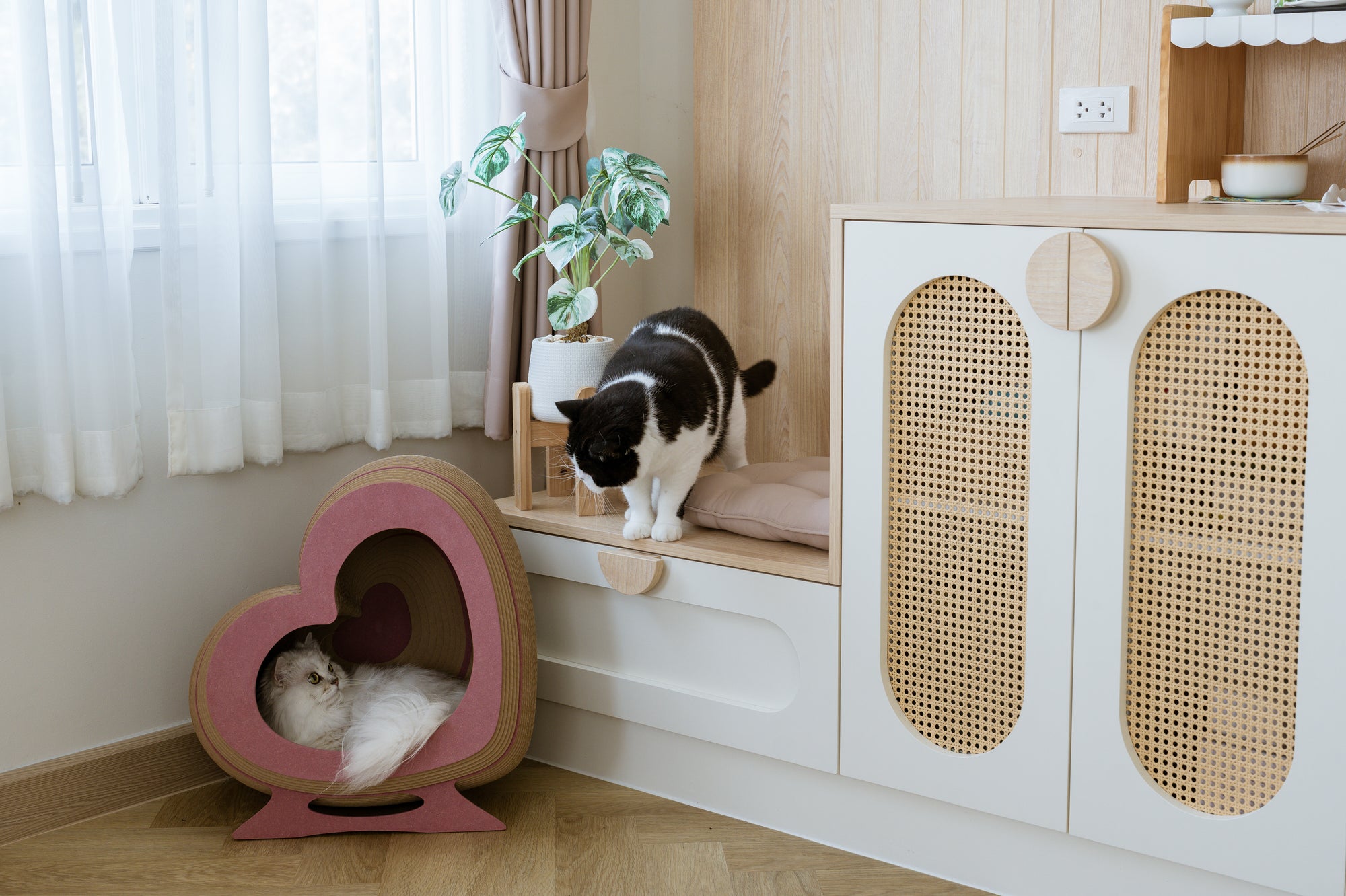 Kitty Heartbeat