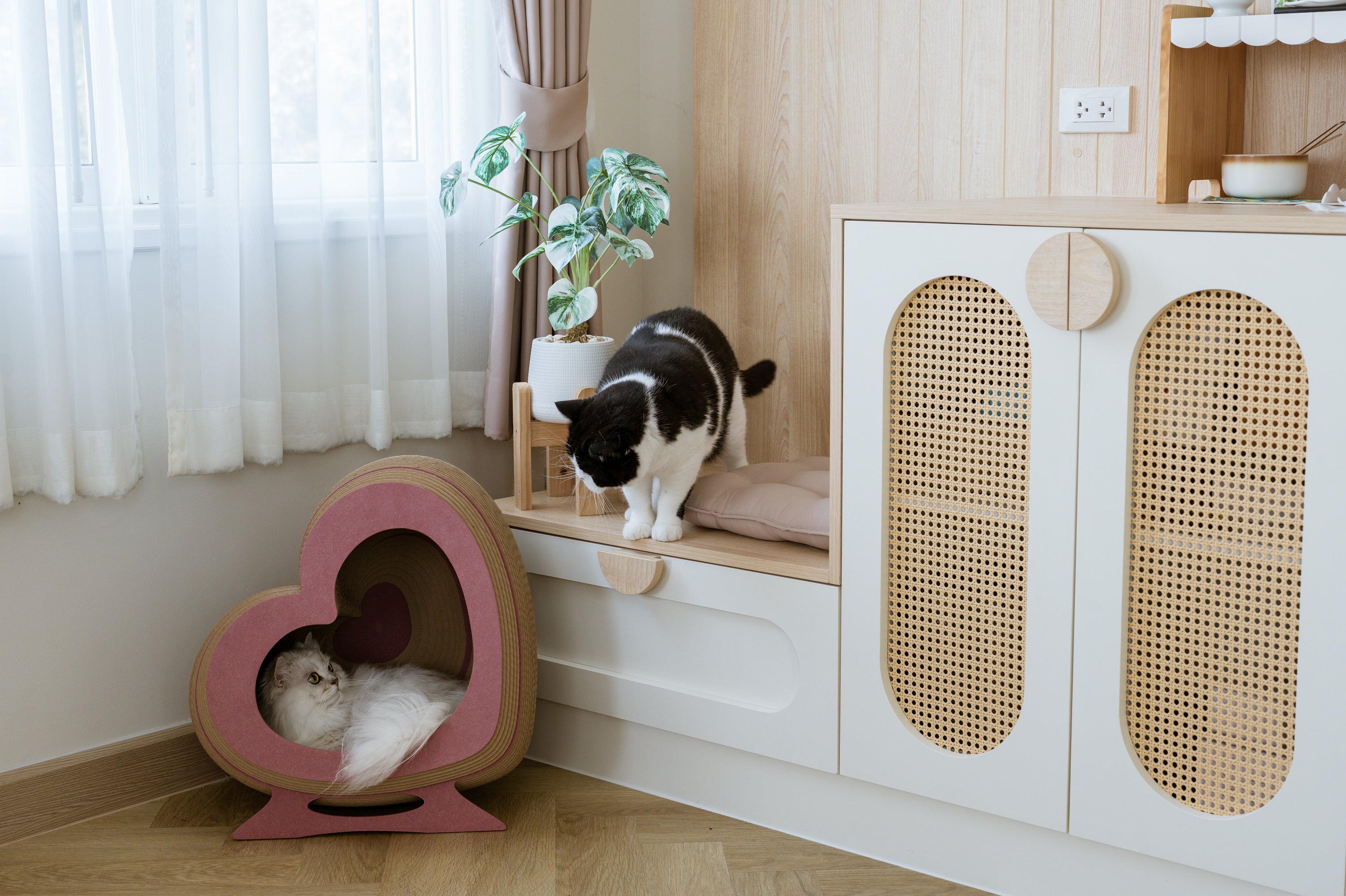 Kitty Heartbeat