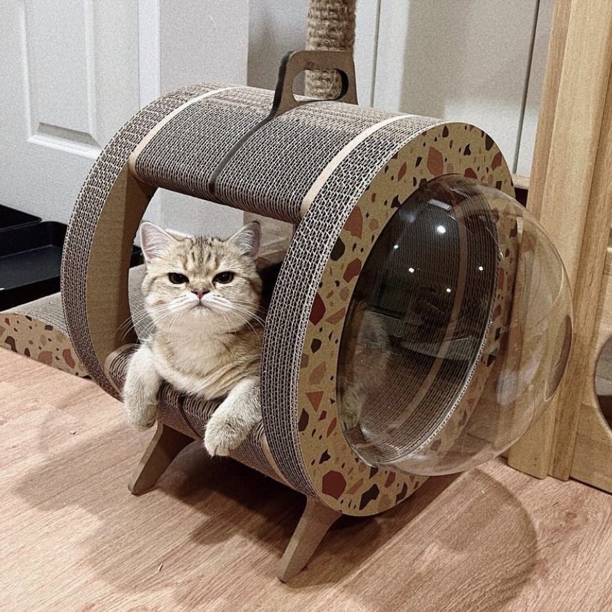 Kitty Space Capsule