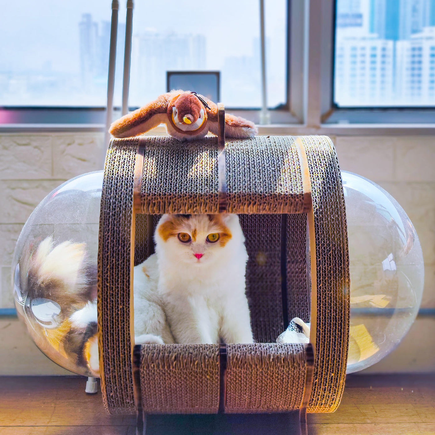 Kitty Space Capsule