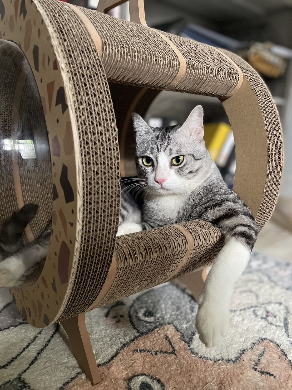Kitty Space Capsule