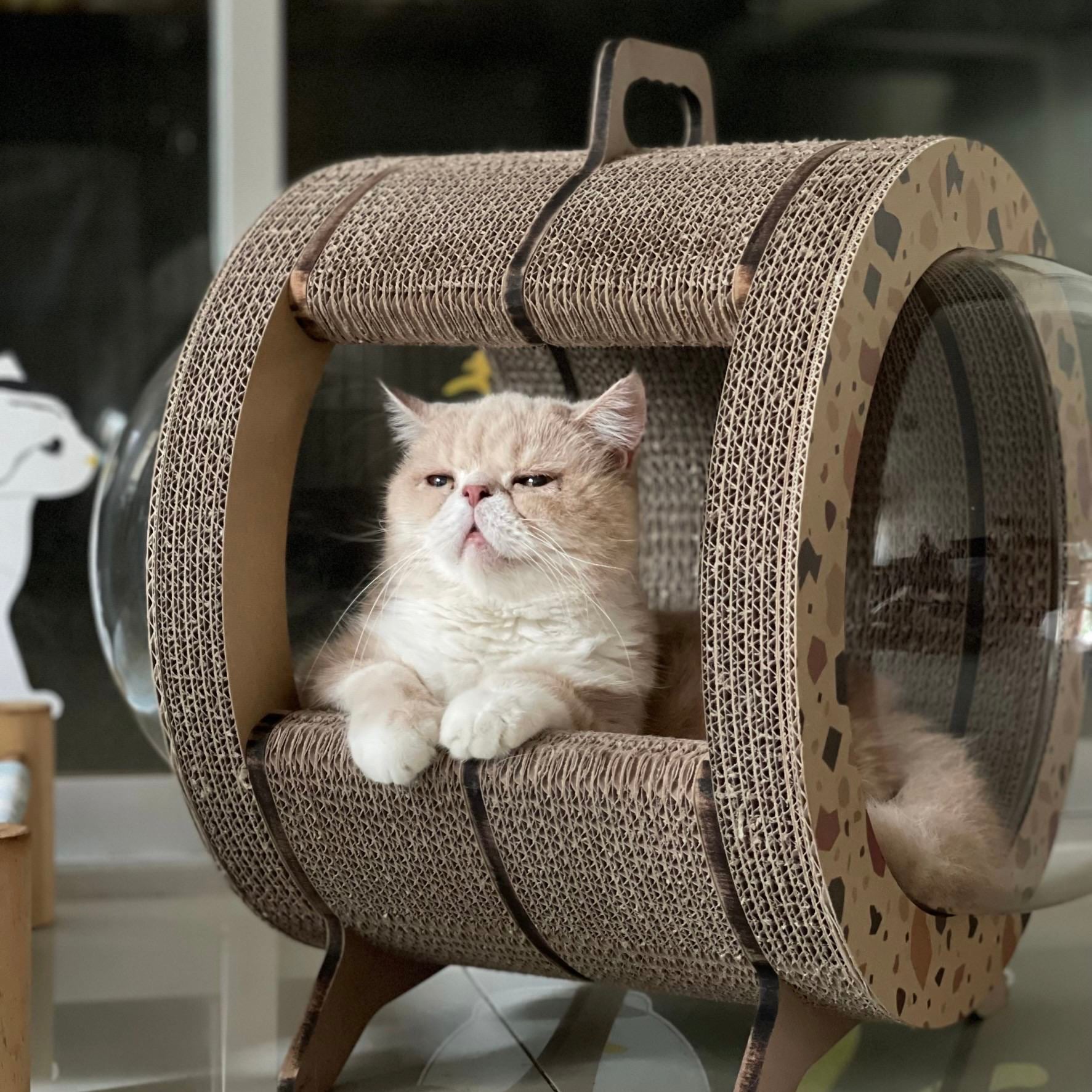 Kitty Space Capsule