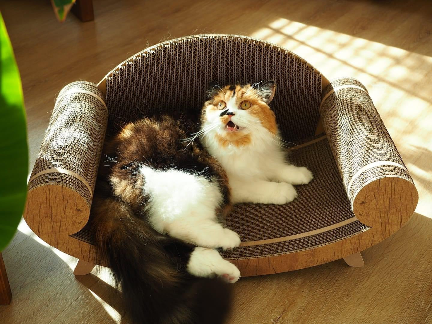 Purrline
