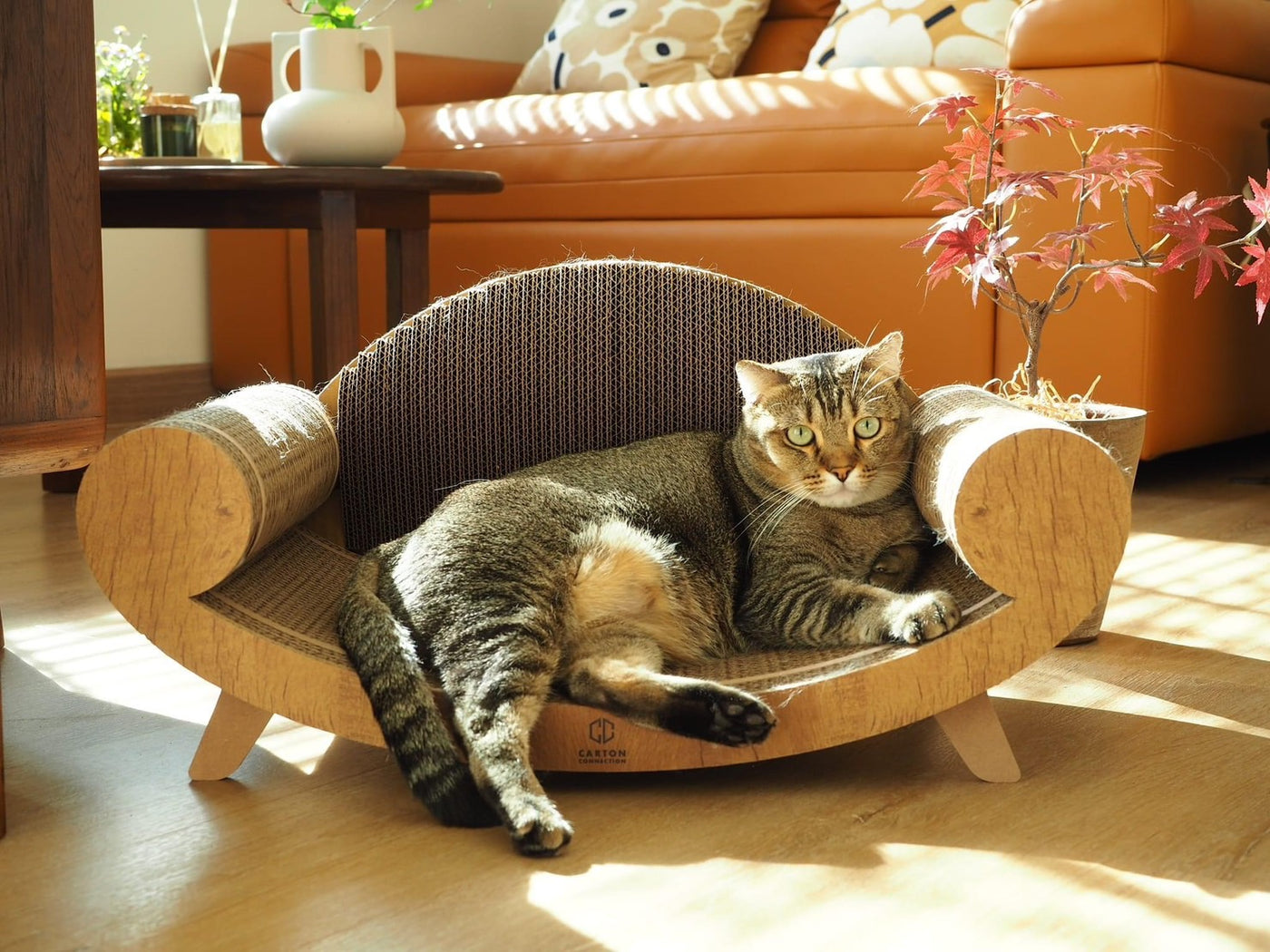 Purrline