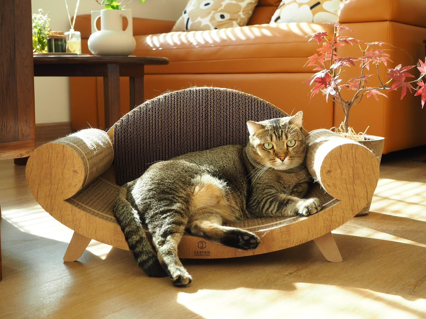 Purrline