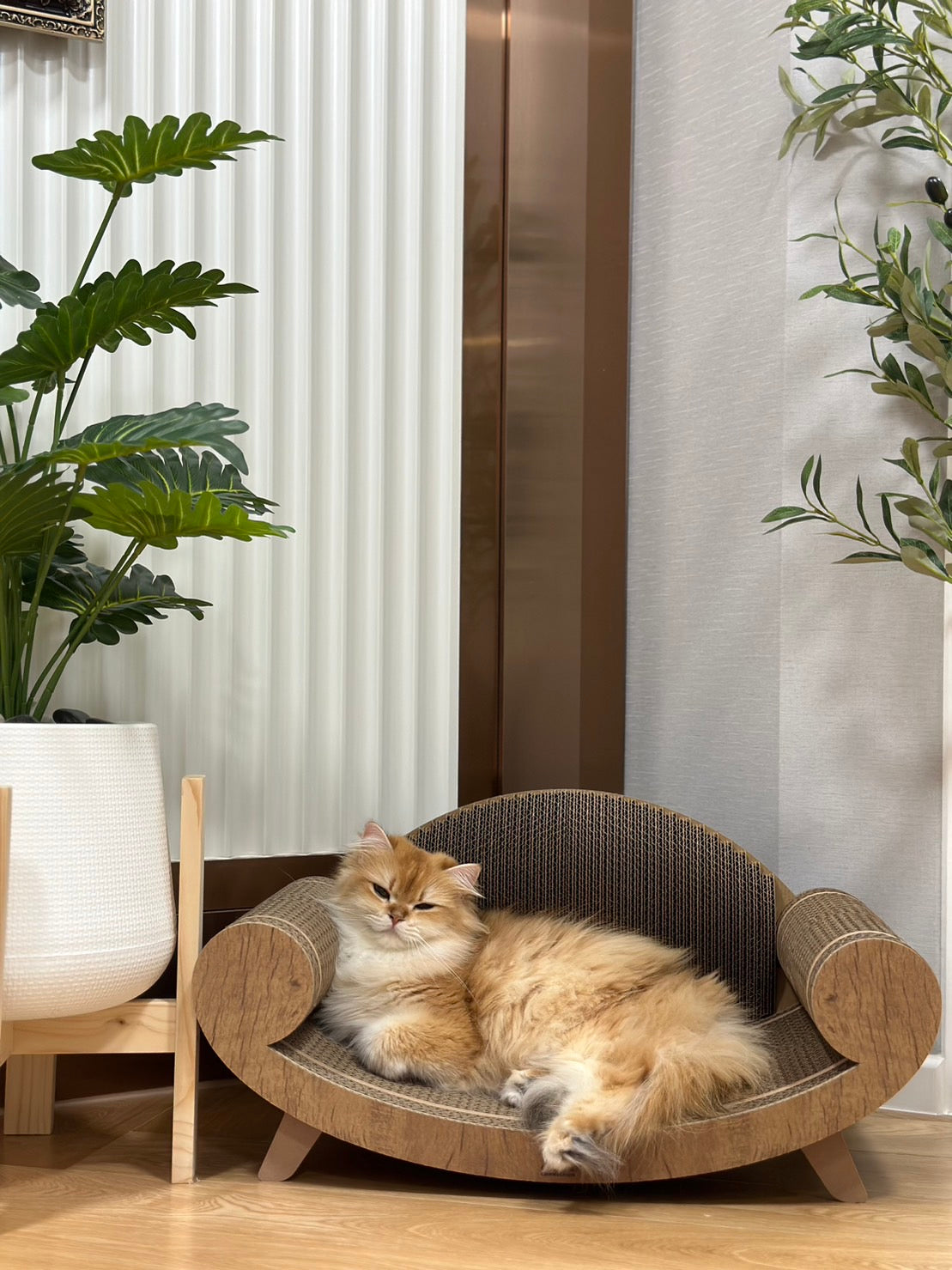 Purrline