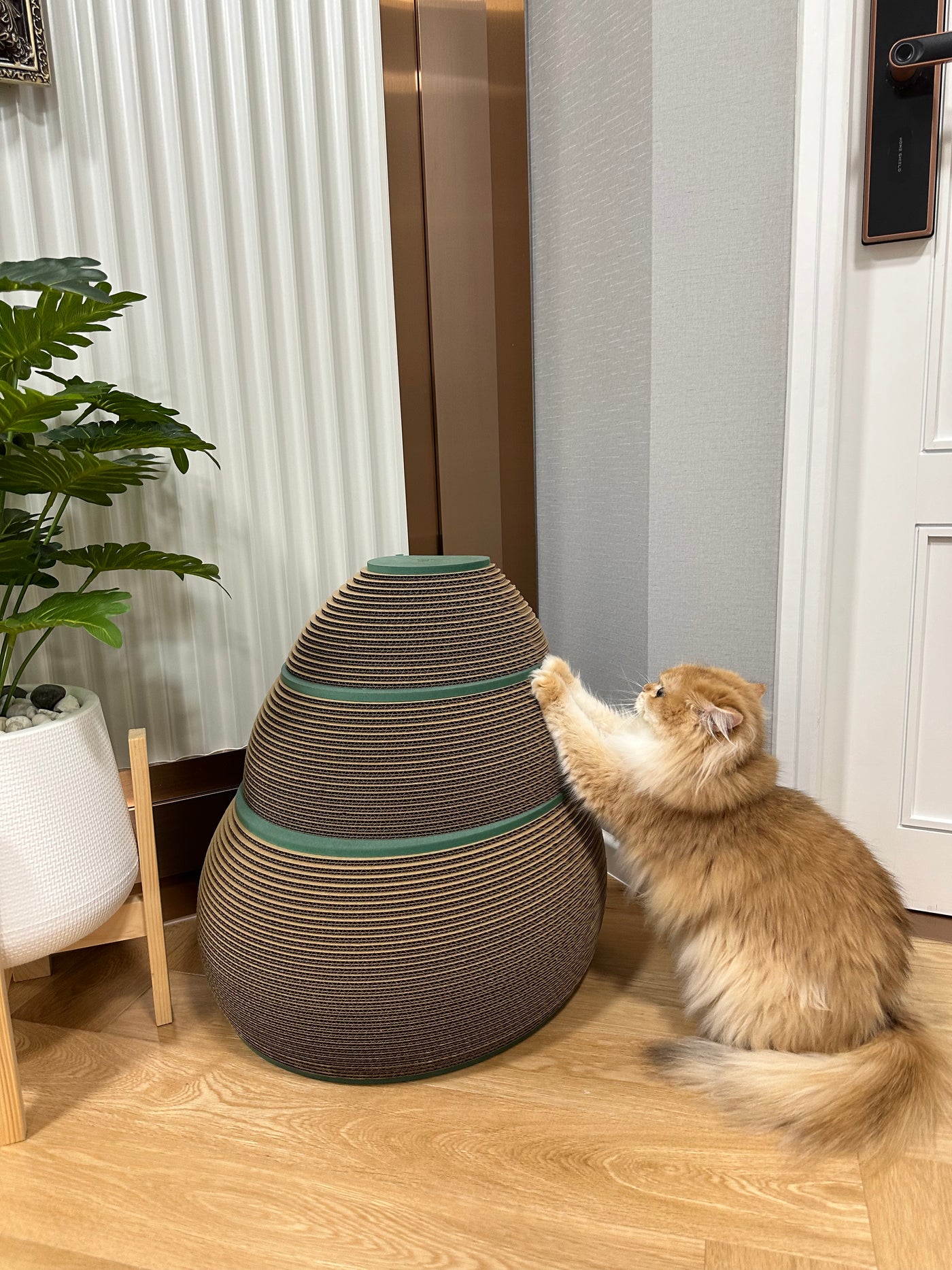 Purrmithor
