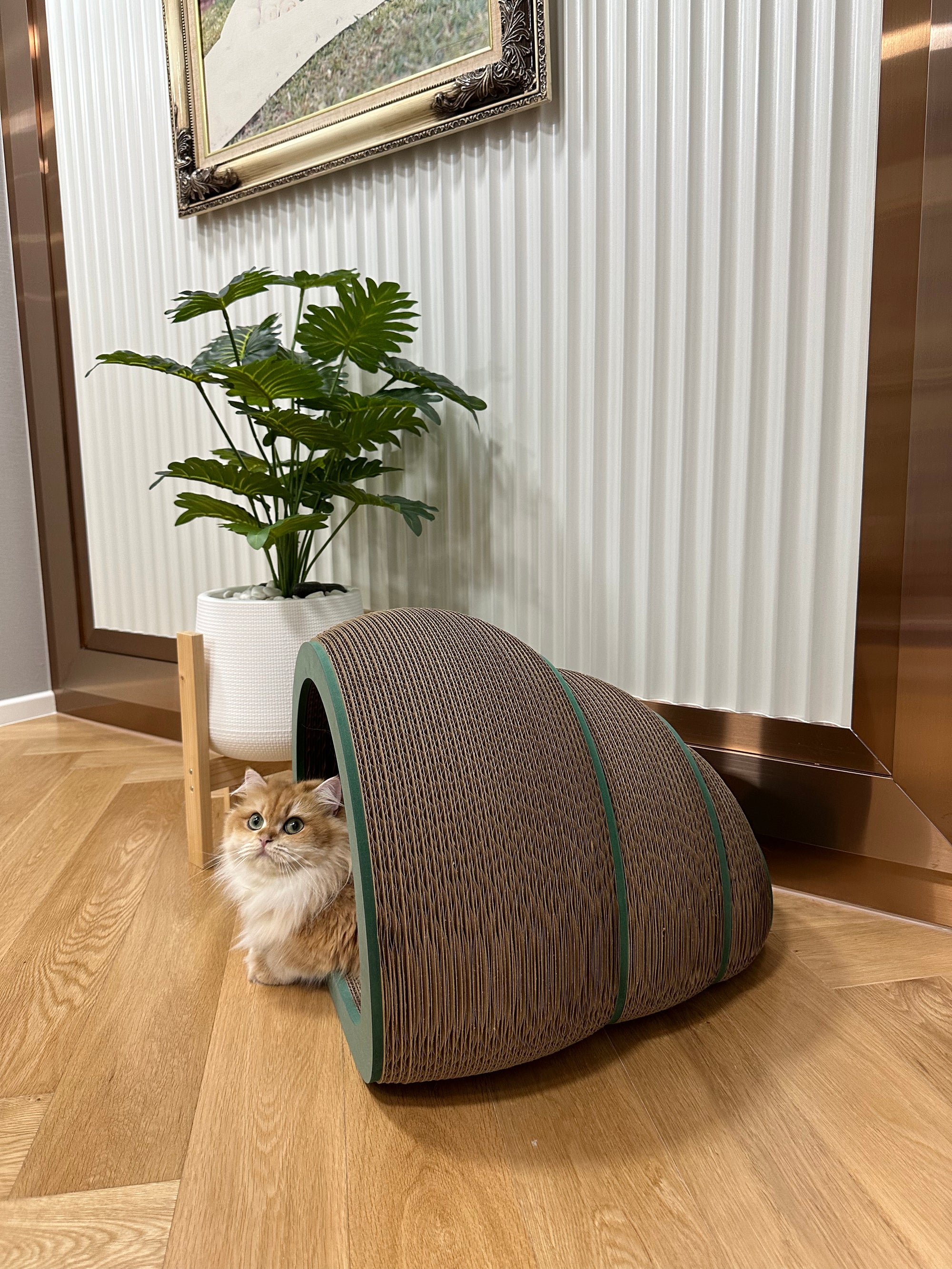 Purrmithor