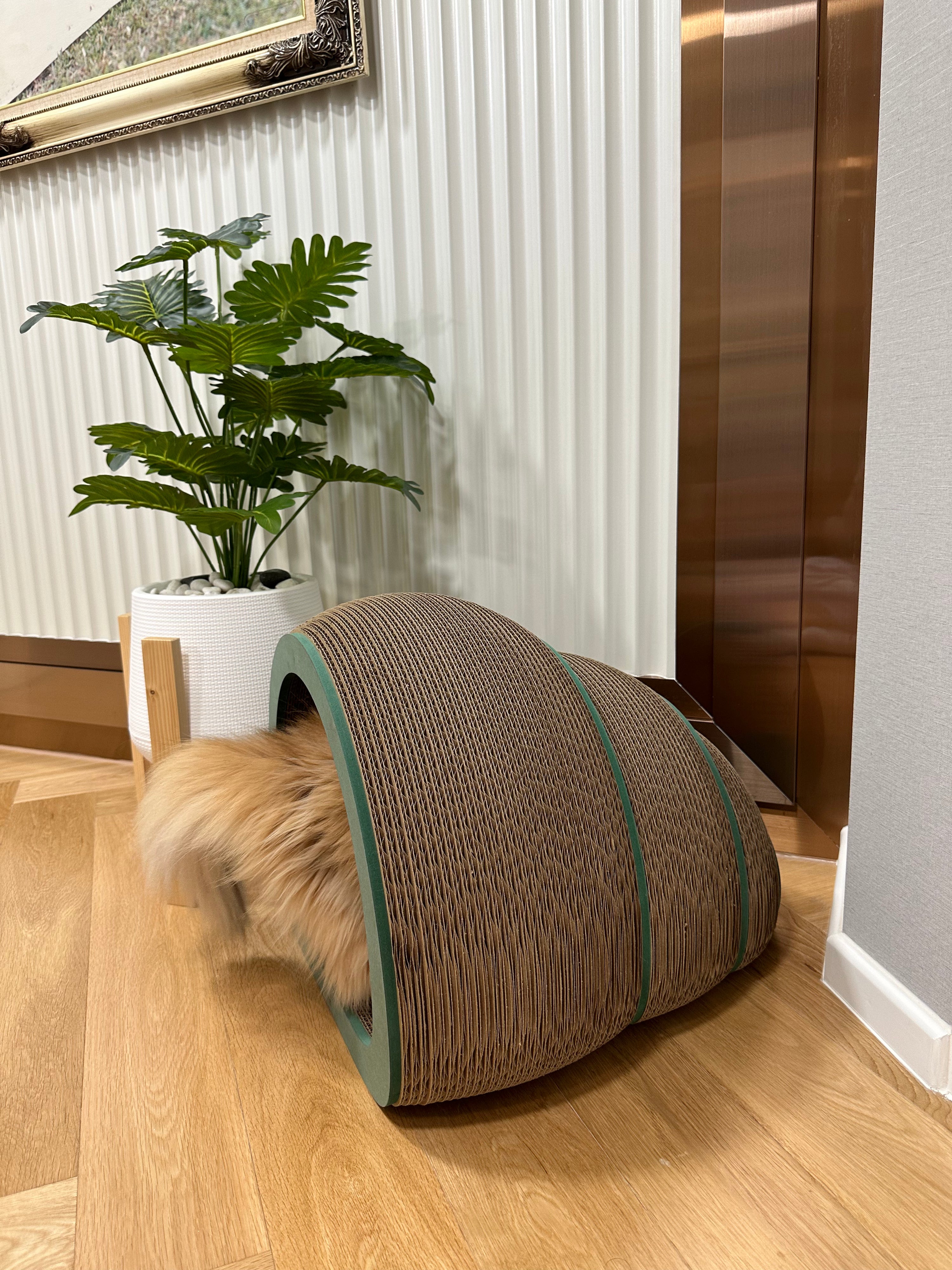 Purrmithor