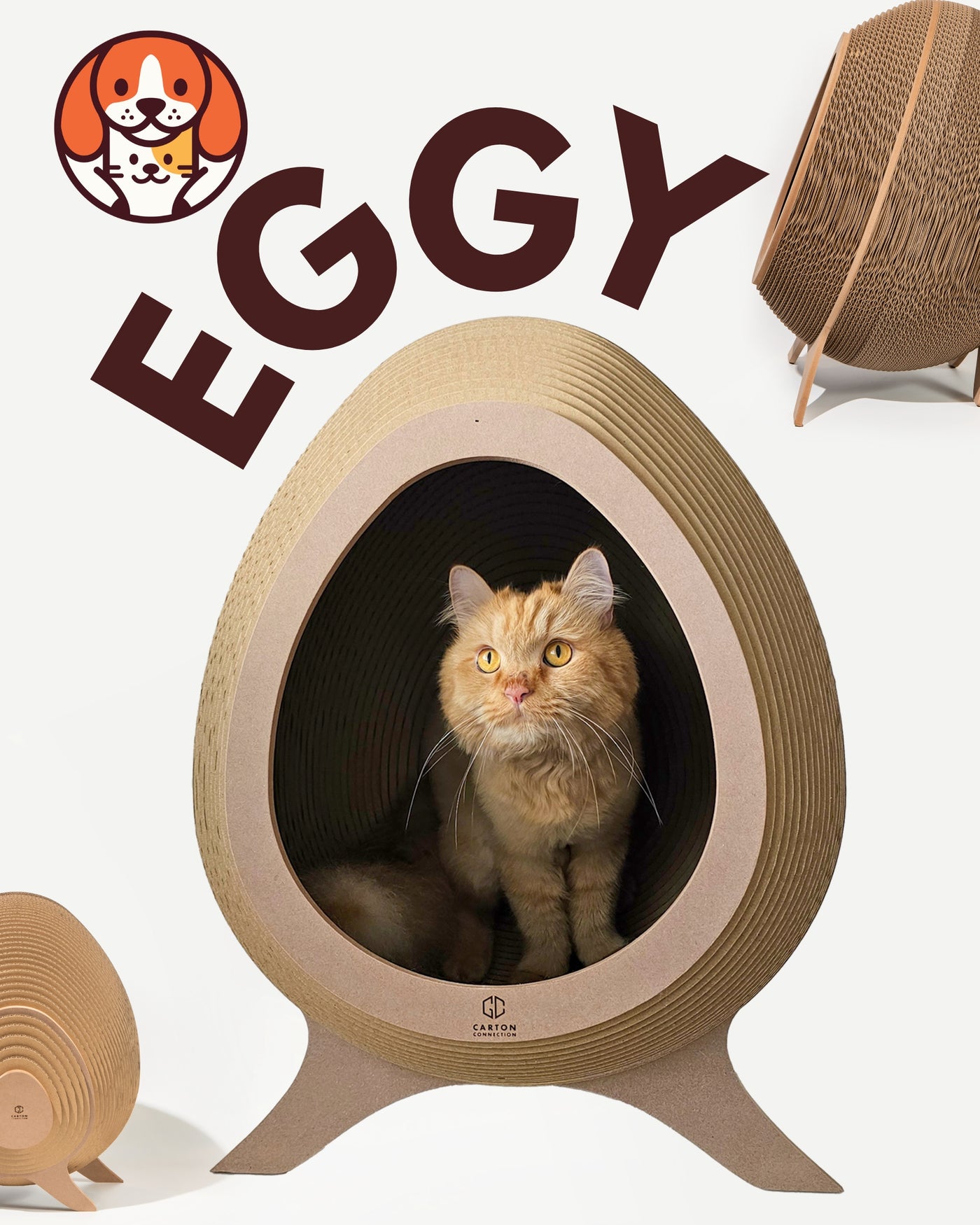 Eggy